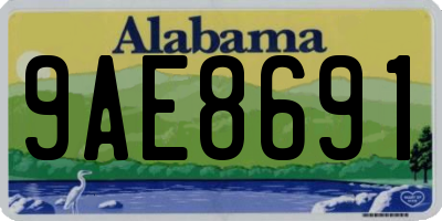 AL license plate 9AE8691
