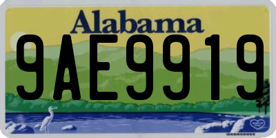 AL license plate 9AE9919