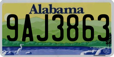 AL license plate 9AJ3863