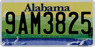 AL license plate 9AM3825