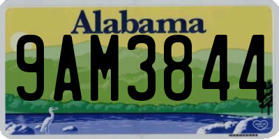 AL license plate 9AM3844