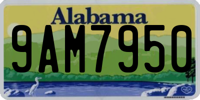 AL license plate 9AM7950