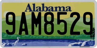 AL license plate 9AM8529