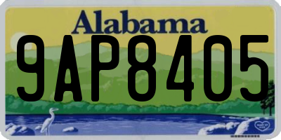 AL license plate 9AP8405