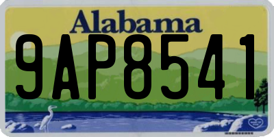 AL license plate 9AP8541