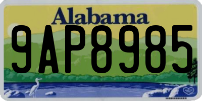 AL license plate 9AP8985