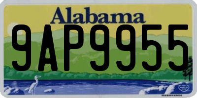 AL license plate 9AP9955