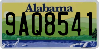 AL license plate 9AQ8541