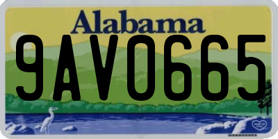 AL license plate 9AV0665