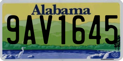 AL license plate 9AV1645