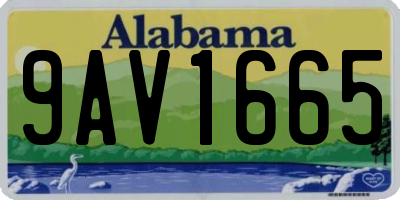 AL license plate 9AV1665