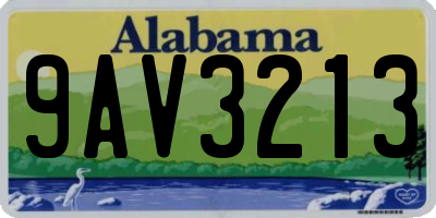 AL license plate 9AV3213