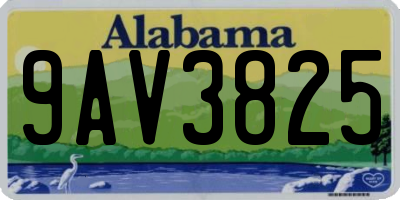 AL license plate 9AV3825