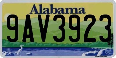 AL license plate 9AV3923
