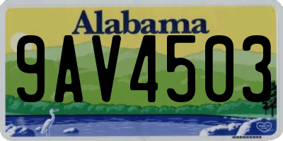 AL license plate 9AV4503