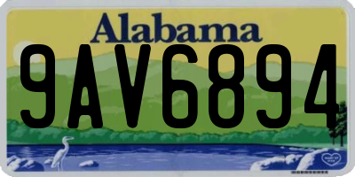 AL license plate 9AV6894