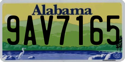 AL license plate 9AV7165