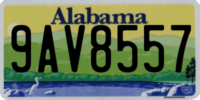 AL license plate 9AV8557