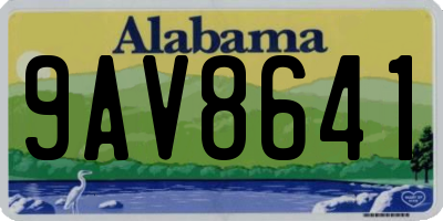 AL license plate 9AV8641