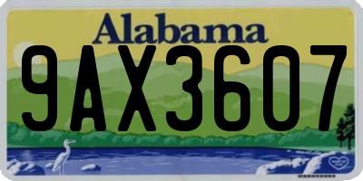 AL license plate 9AX3607