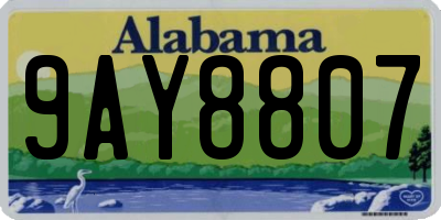 AL license plate 9AY8807