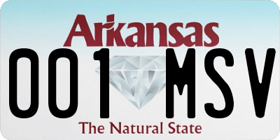 AR license plate 001MSV