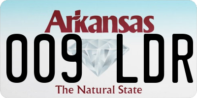 AR license plate 009LDR