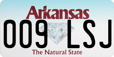 AR license plate 009LSJ
