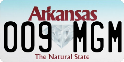 AR license plate 009MGM