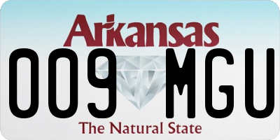 AR license plate 009MGU