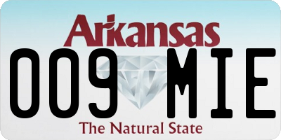 AR license plate 009MIE