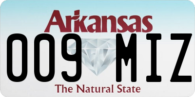 AR license plate 009MIZ