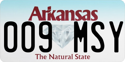 AR license plate 009MSY