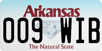 AR license plate 009WIB