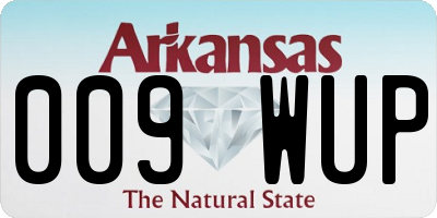 AR license plate 009WUP