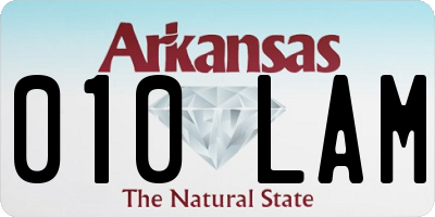 AR license plate 010LAM