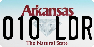 AR license plate 010LDR