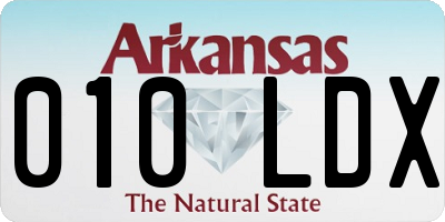 AR license plate 010LDX