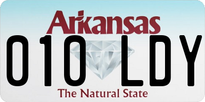 AR license plate 010LDY