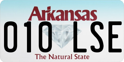 AR license plate 010LSE