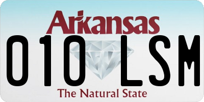 AR license plate 010LSM