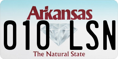AR license plate 010LSN