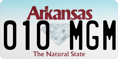 AR license plate 010MGM