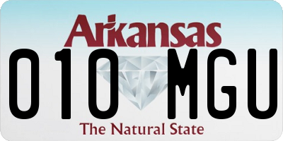 AR license plate 010MGU