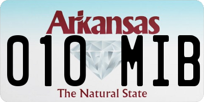 AR license plate 010MIB