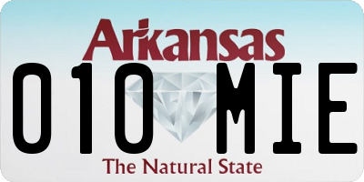 AR license plate 010MIE