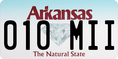 AR license plate 010MII