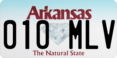 AR license plate 010MLV