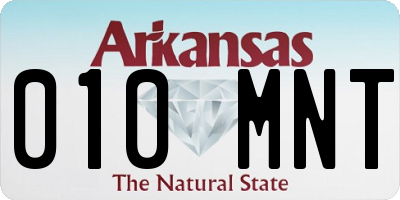 AR license plate 010MNT