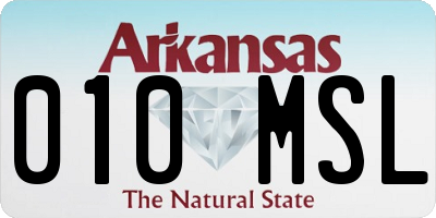 AR license plate 010MSL